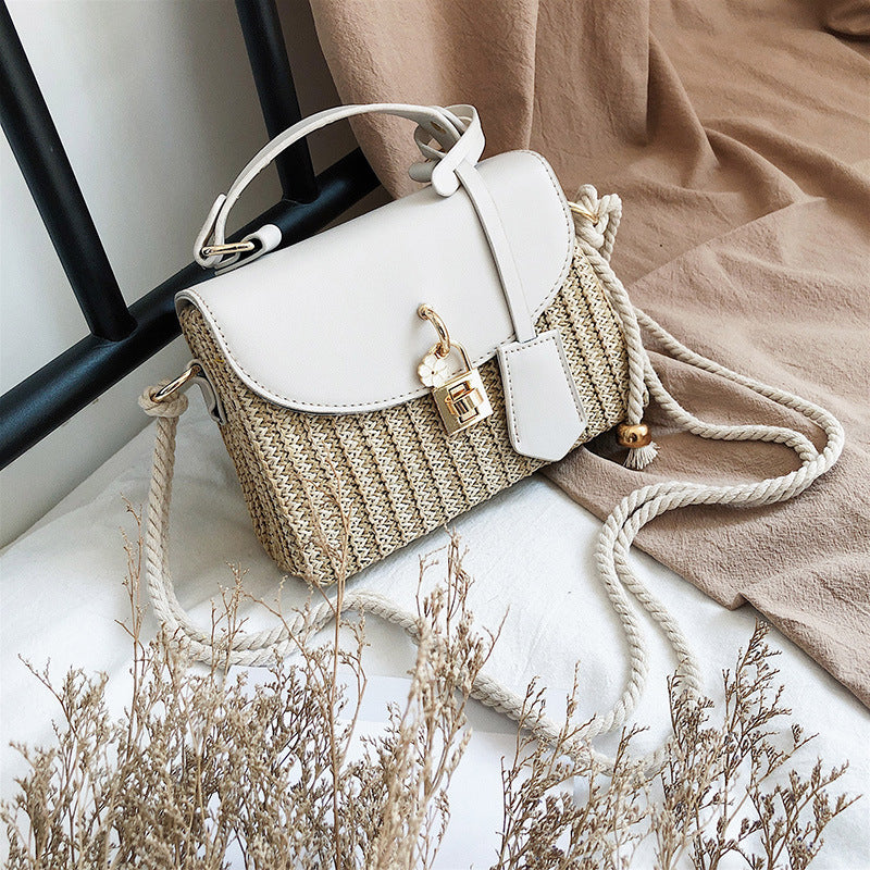 Beliebte, trendige, kleine Handtasche